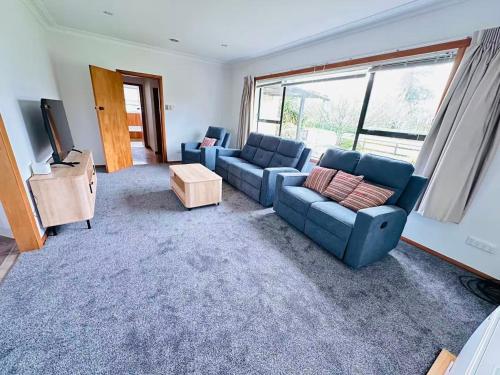 a living room with a blue couch and a tv at Cosy 3 Bedrooms House Beside City Centre in Hamilton