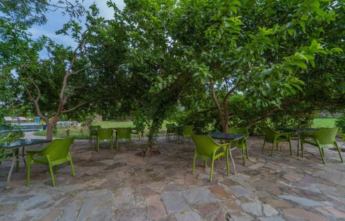 Ein Garten an der Unterkunft Tehla Bagh