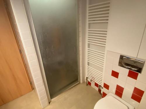 a bathroom with a shower and a toilet at Studio Lissa u Prahy in Lysá nad Labem