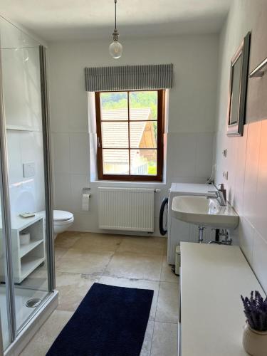 a bathroom with a sink and a toilet and a window at Apartment Siggi 81 sqm Balcony and Mountain View in Siegsdorf