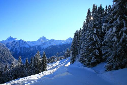 a snow covered hill with trees and mountains at Haus am Rain in Partenen