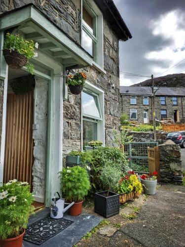 a stone house with potted plants on the front door at Waterfall retreat in Blaenau-Ffestiniog