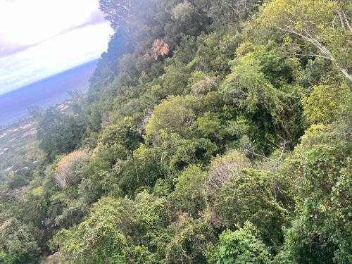 Un paisaje natural cerca de la casa vacacional