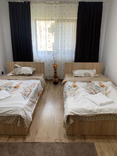 ein Schlafzimmer mit zwei Betten und einem Fenster in der Unterkunft Vila Lory in Vaslui