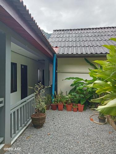 Κήπος έξω από το KHOUNVILAI Guesthouse