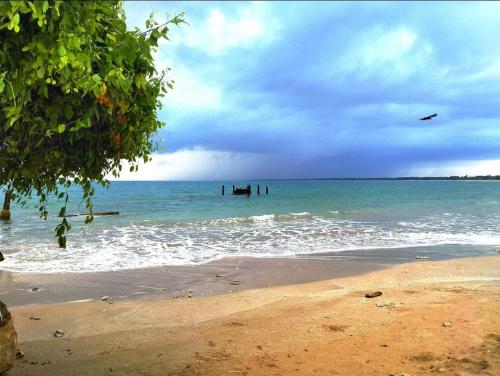 a beach with a bird flying over the ocean at The Beach house by Kay Jay Hotels in Pasikuda
