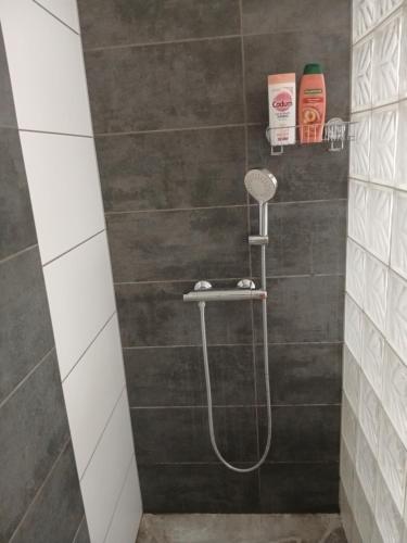 a shower with a shower head in a bathroom at La petite maison in Gourdon-en-quercy