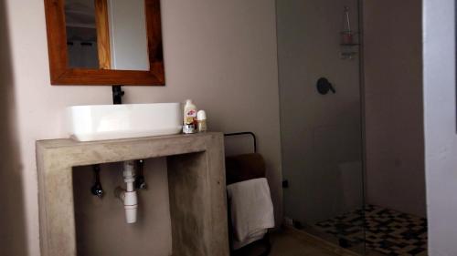 a bathroom with a sink and a mirror on a counter at Farmco Marloth Park in Marloth Park