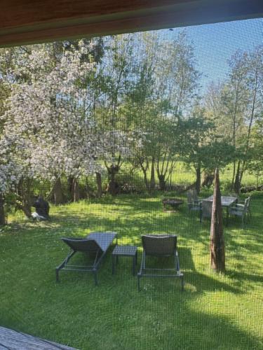a window view of a park with two chairs and a table at Ickelhaus 2 in Bad Windsheim