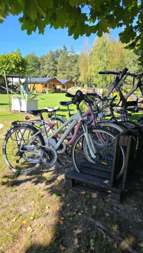 Ποδηλασία στο VIP VILLAGE Las Woda Rower - Podgrzewany Basen, Balia, Sauna ή στη γύρω περιοχή