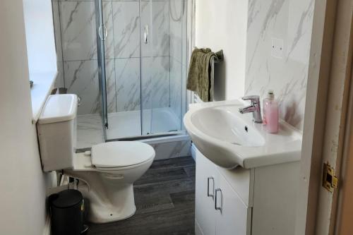 a bathroom with a toilet and a sink and a shower at Flat - Sleeps 4 - WiFi in Bridgend