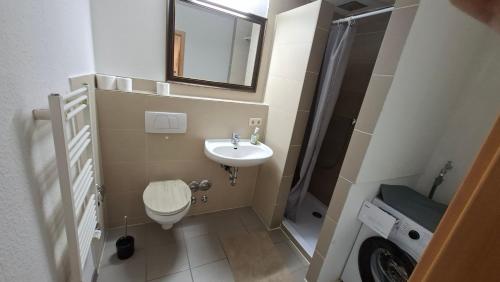 a bathroom with a toilet and a sink and a shower at 2 Zimmer Monteurwohnung mit Terasse Küche Bad in Uelzen