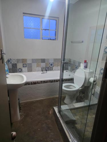 a bathroom with a toilet and a sink at Treeferns Trout Lodge in Dullstroom