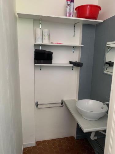勒卡特港Appartement F2 agréable avec terrasse的带白色水槽和柜台的浴室