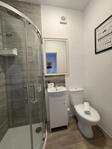 a bathroom with a shower and a toilet and a sink at Central Peterborough Studio 6 in Peterborough