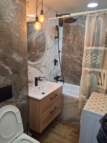 a bathroom with a sink and a toilet and a shower at Уютная 2-х комнатная квартира in Rudny