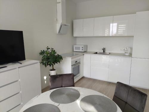 Kuchyň nebo kuchyňský kout v ubytování Pilkų atspalvių apartamentai