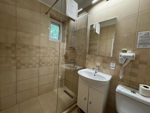 a bathroom with a sink and a toilet and a shower at Hotel Cirus in Predeal
