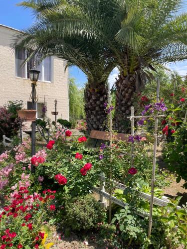 a garden with flowers and a palm tree at House - Kutaisi International Airport 15 Minutes, Samtredia Kulashi 15Tamar Mepe Street in Samtredia