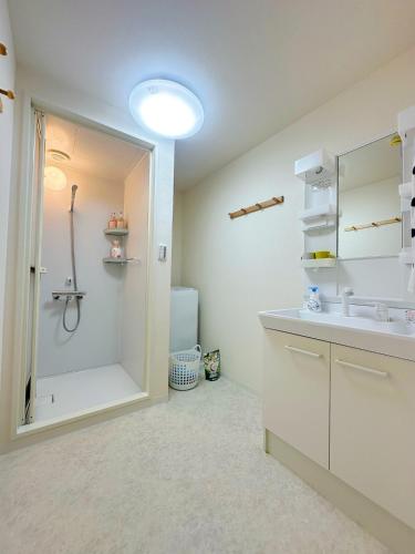 a bathroom with a shower and a sink and a mirror at Ueno Sakura Inn 上野公园 in Tokyo