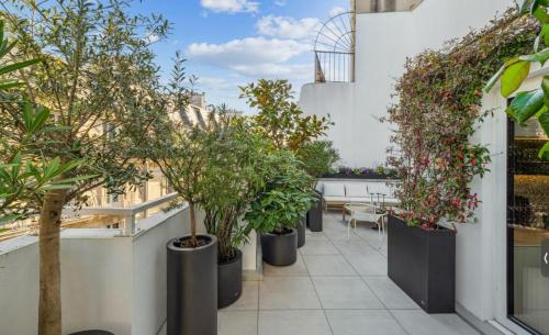 Penthouse Design & Luxury Terrace