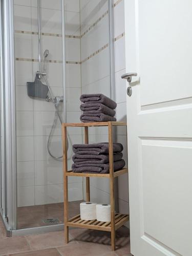 a towel rack in a bathroom with a shower at LUTZ Appartements - Südheide in Gifhorn