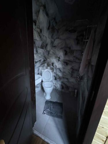 Koupelna v ubytování Chalet Adjara