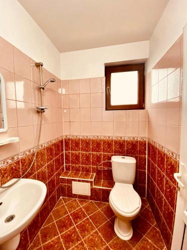 a bathroom with a toilet and a sink at Helena Hostels in Kostinbrod