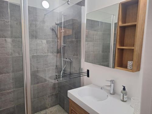 トノン・レ・バンにあるAppartement de charme au cœur de Thononの洗面台と鏡付きのシャワーを備えたバスルーム