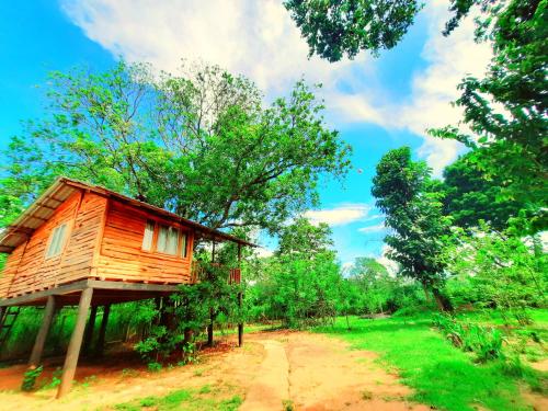 a tree house in the middle of a field at Tree House 4 Nature Lovers in Udawalawe