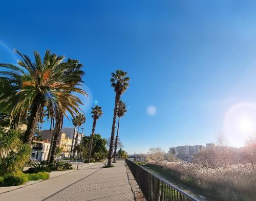 a sidewalk with palm trees next to a fence at ibis budget Perpignan Centre Rénové en 2025 in Perpignan