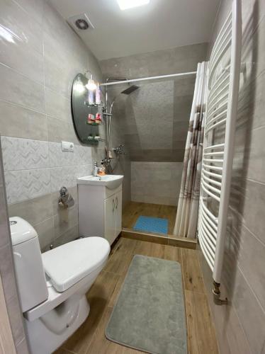 a bathroom with a toilet and a sink and a shower at Садиба Ангеліка in Csetfalvát