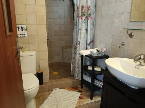 a bathroom with a sink and a toilet and a shower at Forest Breeze-1 - JM Rentals in Stení Dhírfios