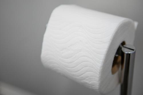 a roll of white toilet paper on a holder at St James Court Hotel in Derby