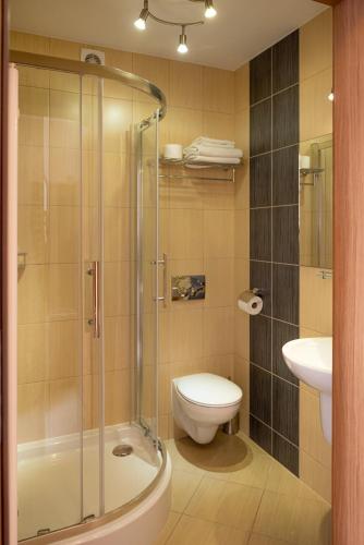 a bathroom with a shower and a toilet and a sink at DW Bogun in Białka Tatrzanska