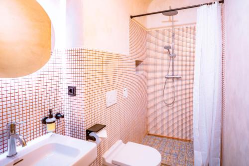 a bathroom with a shower and a sink and a toilet at Apartmány Oblouk - stylové ubytování v historickém jádru města in Žatec