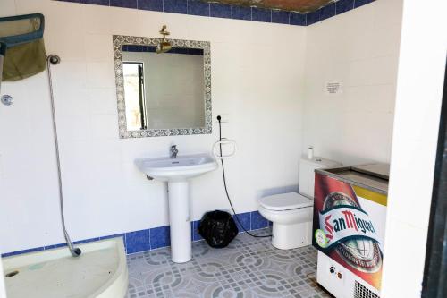 a bathroom with a sink and a toilet and a mirror at Casa rural DOS ENCINAS in Andújar