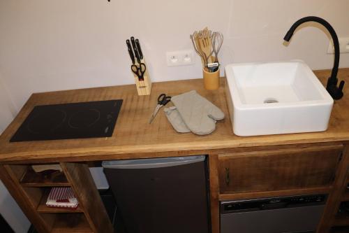 a kitchen counter with a sink and a sink at La Suite d'Ondine in Lobbes