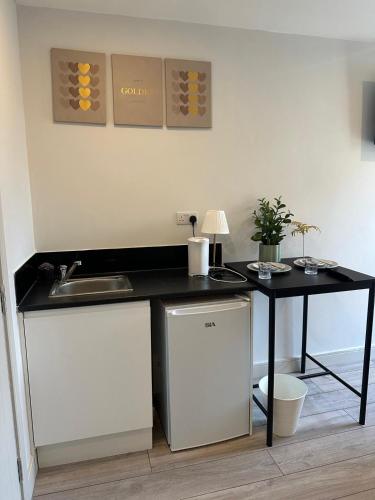 a kitchen with a sink and a counter at Brigstock 6 in Thornton Heath