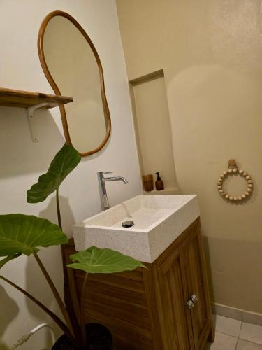 a bathroom with a sink and a mirror at Le Voile de la Mariée in Salazie