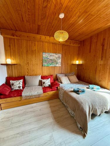 Le petit Cœur de Villard, hyper-centre cosy