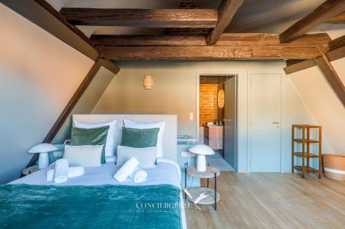 Pistachio Duplex Apartment - Hypercentre Colmar