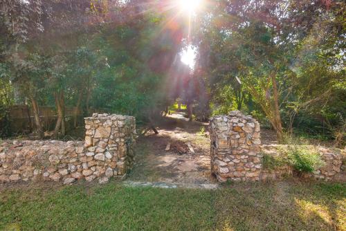 a pile of stone walls in a field with trees at 1 Mi to Dtwn Welcoming Macon Home with Yard in Macon