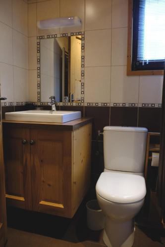 a bathroom with a toilet and a sink and a mirror at Aigles 19 Bajeux Bât 2 in La Clusaz