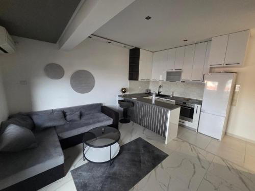 a living room with a couch and a kitchen at Stan na dan Zvezdara in Belgrade
