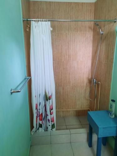 eine Dusche mit Duschvorhang im Bad in der Unterkunft Loft con vista al mar in Valparaíso