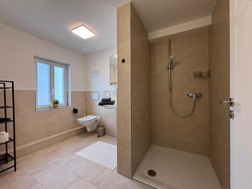 a bathroom with a shower and a toilet at Aposto Apartments am Marktplatz 13 in Oberderdingen