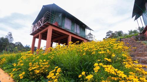 a house sitting on top of a field of yellow flowers at Train View Chalet in Bandarawela