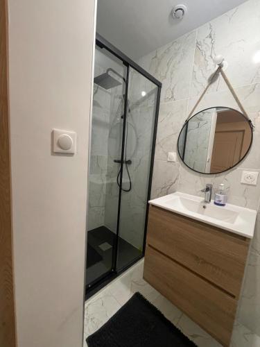 a bathroom with a shower and a sink and a mirror at Le Nid du Graverand in Rennes