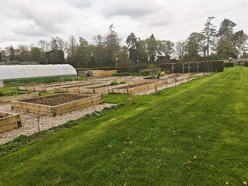 a garden with raised beds in a field at 3 Bed in Kirriemuir 96317 in Logie